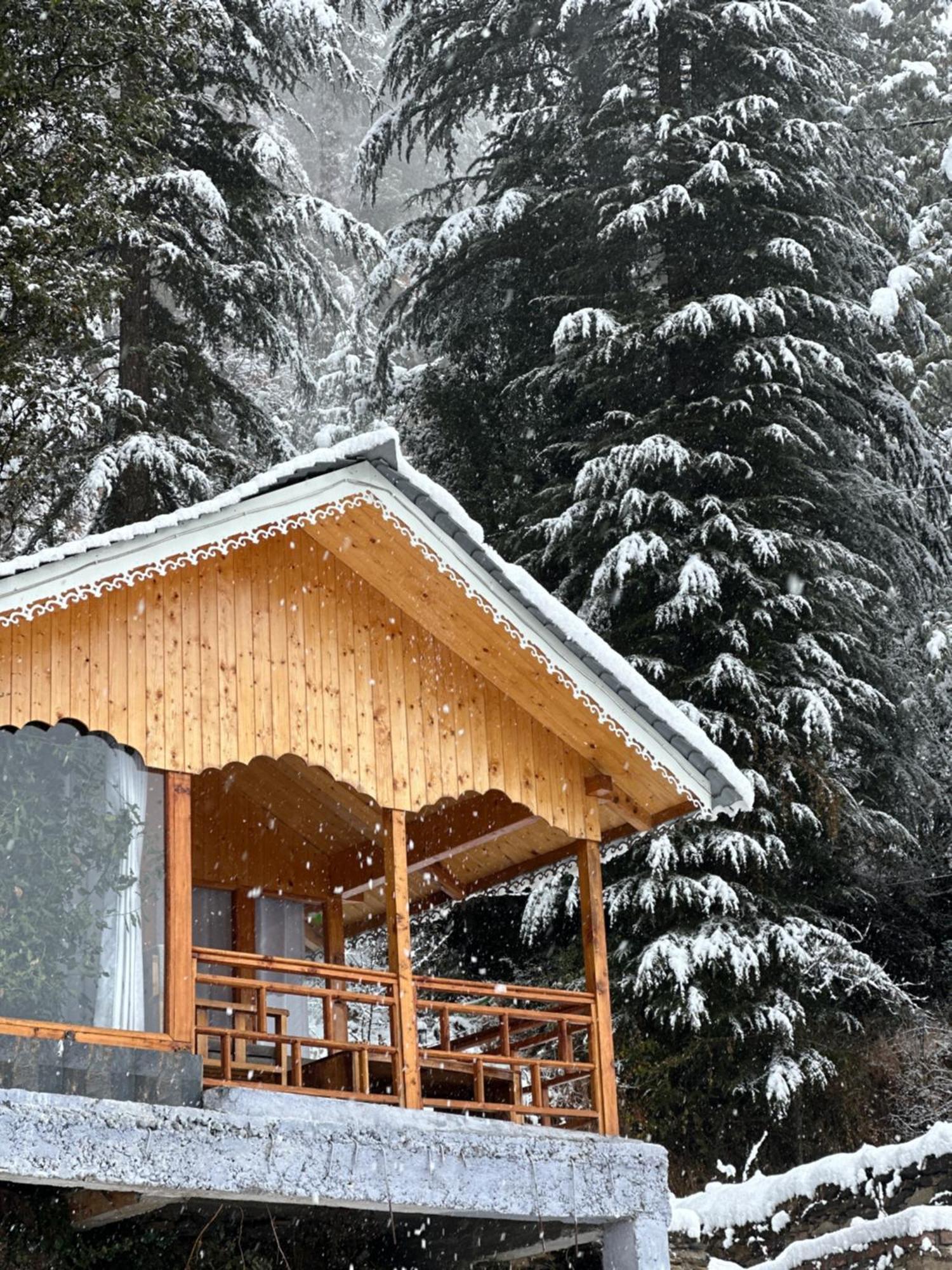 Tree House Latos Tandi Hotel Jibhi Exterior photo